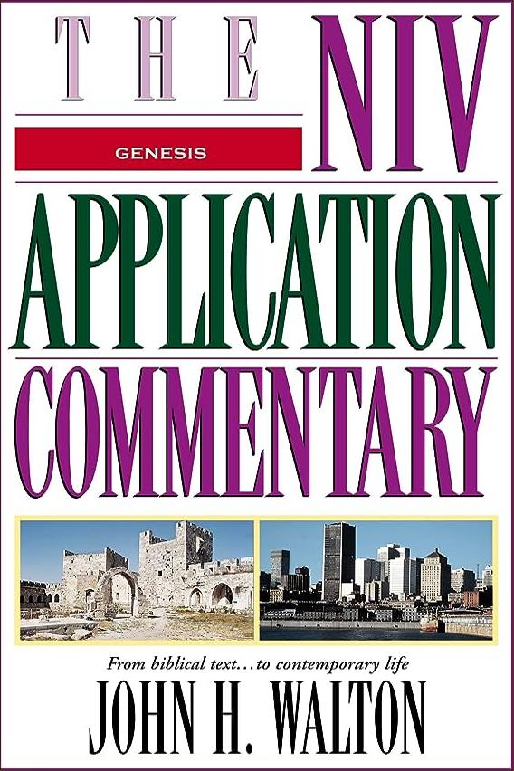 The NIV Application Commentary